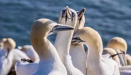 安宁伴游，定制QQ：3494206190微信：act1322